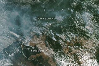 Huge areas of the Amazon rainforest are burning from human-made fires, as shown by this satellite image taken Aug. 13.