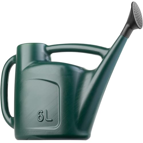 Hardys 6l Green Rose Watering Can - Outdoor &amp;amp; Indoor Watering Can With Detachable Sprinkler Rose Head, Long Spout Water Can for Houseplant &amp;amp; Garden Plants