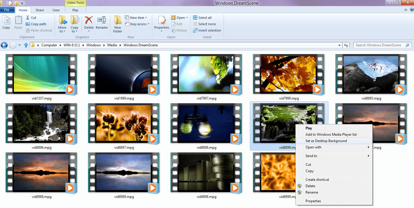 Windows DreamScene