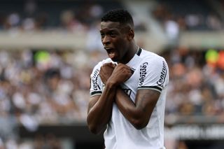 Luiz Henrique celebrates after scoring for Botafogo against Atletico Mineiro in the Copa Libertadores final in November 2024.