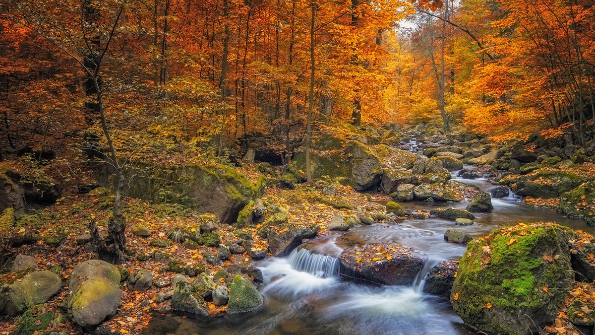 Colourful trees frame a small river, photographed with a long exposure