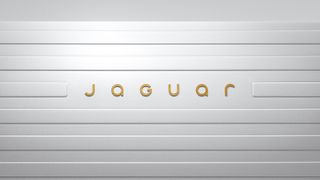 Jaguar branding