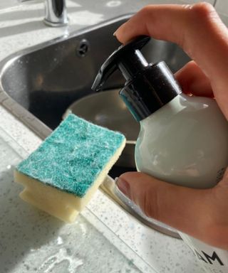 Christina Chrysostomou applying MOAM Organic dish soap to green and yellow dish washing sponge