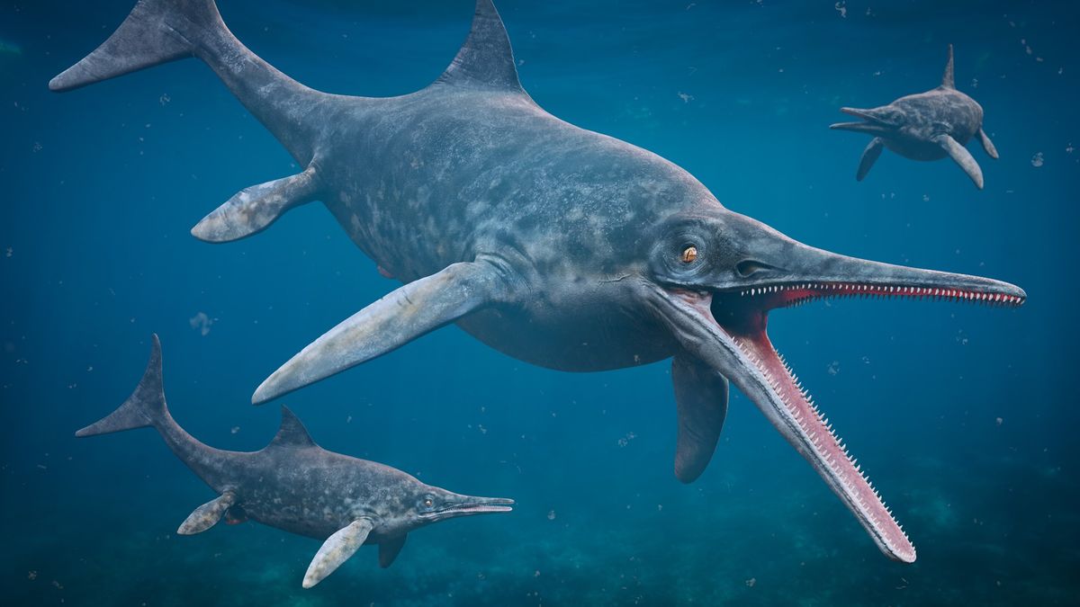 Ichthyosaur: Apex predator of the dinosaur-era seas