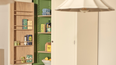 inside of a kitchen cabinet with zig-zag shelving and green interior