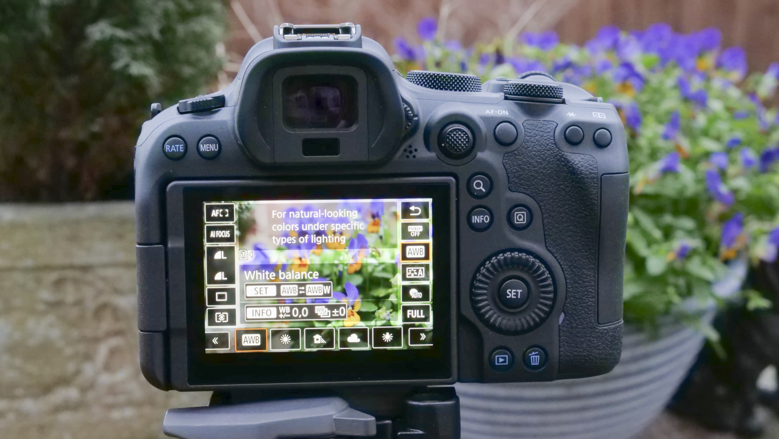 Canon EOS R6 II white balance menu on rear screen