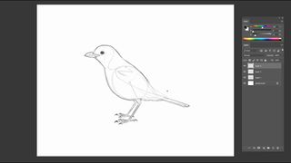 Pencil sketch of a bird