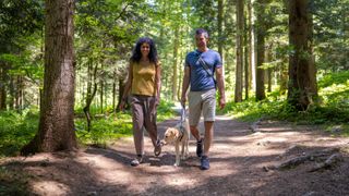 Couple walking dog in forest