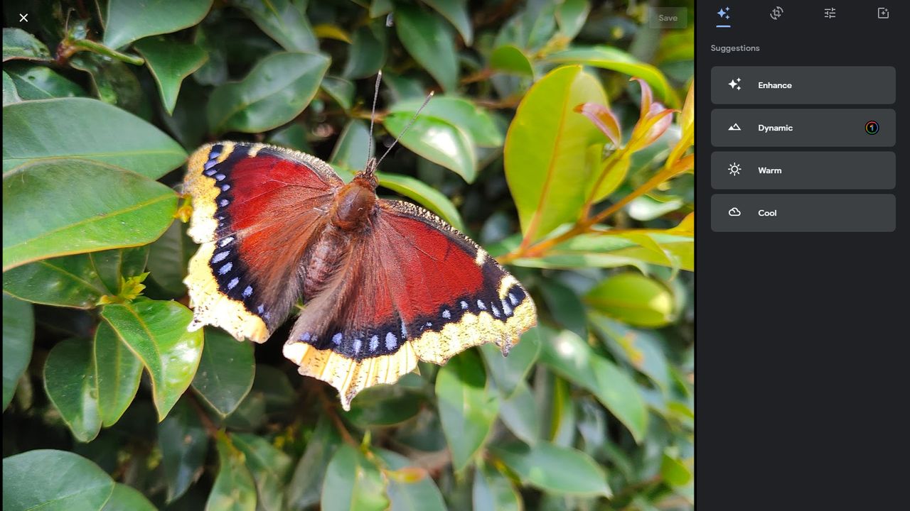 Google Photos redesigned editing tools on web
