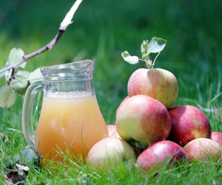 A pitcher of apple juice against a grass background.