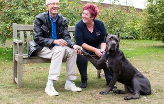 Paul O'Grady: For the Love of Dogs