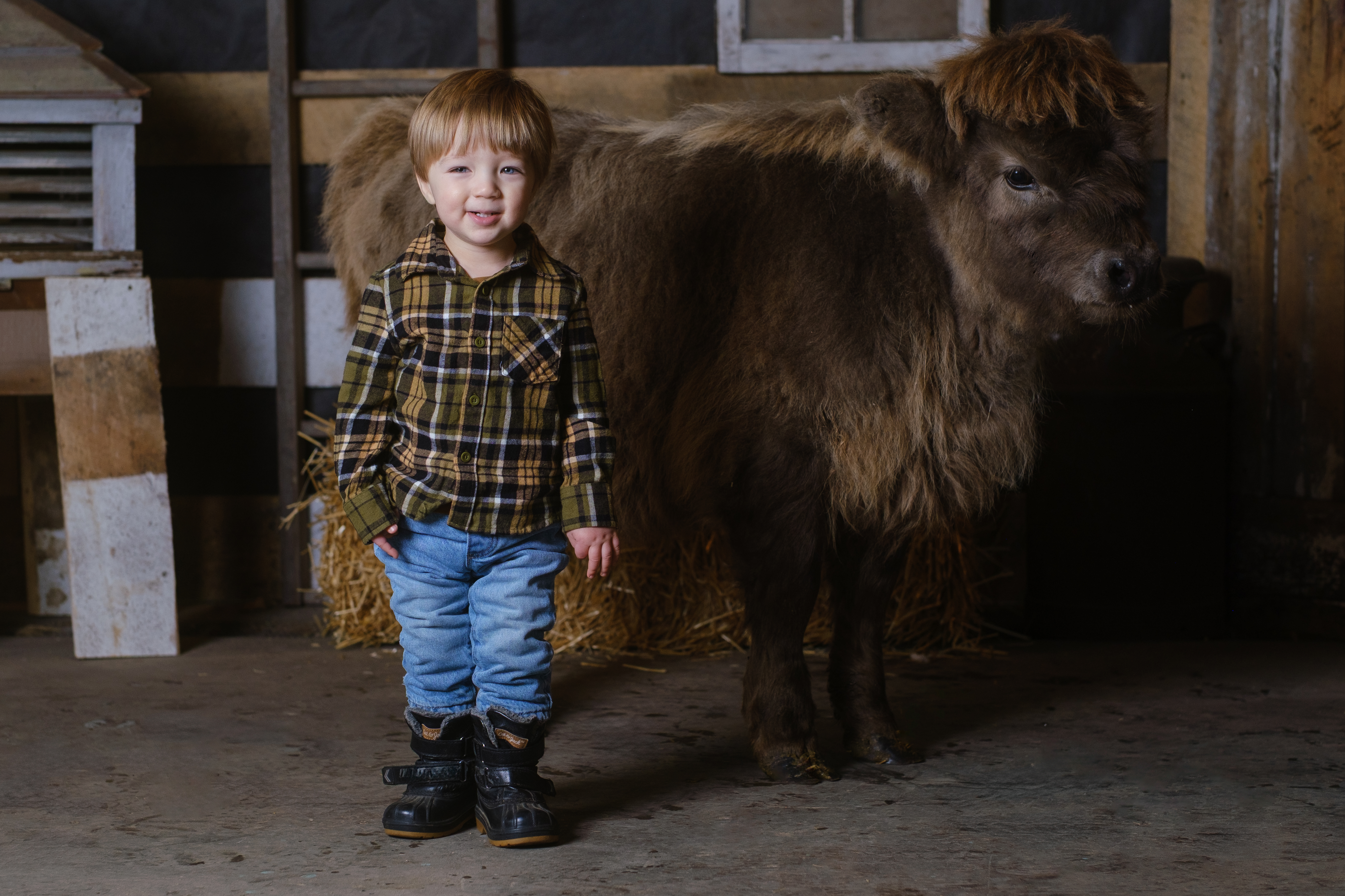 A toddler in a farm portrait setup