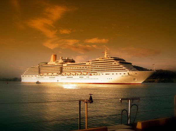 50+ Bacteria associated with cruises ships ideas