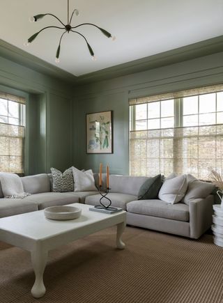 a green painted living room