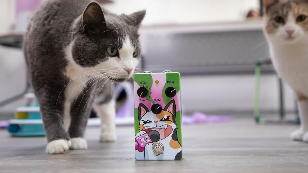 Meowdulator pedal – and cats