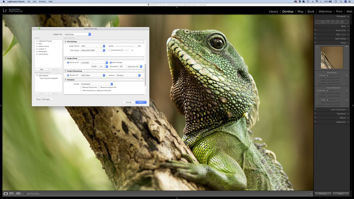 Sharpen your images to perfection with Lightroom and CC