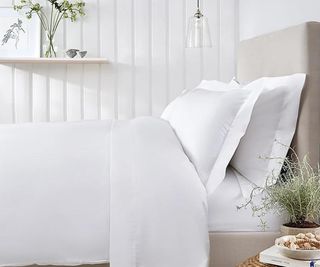 Egyptian cotton sheets on an upholstered bed.