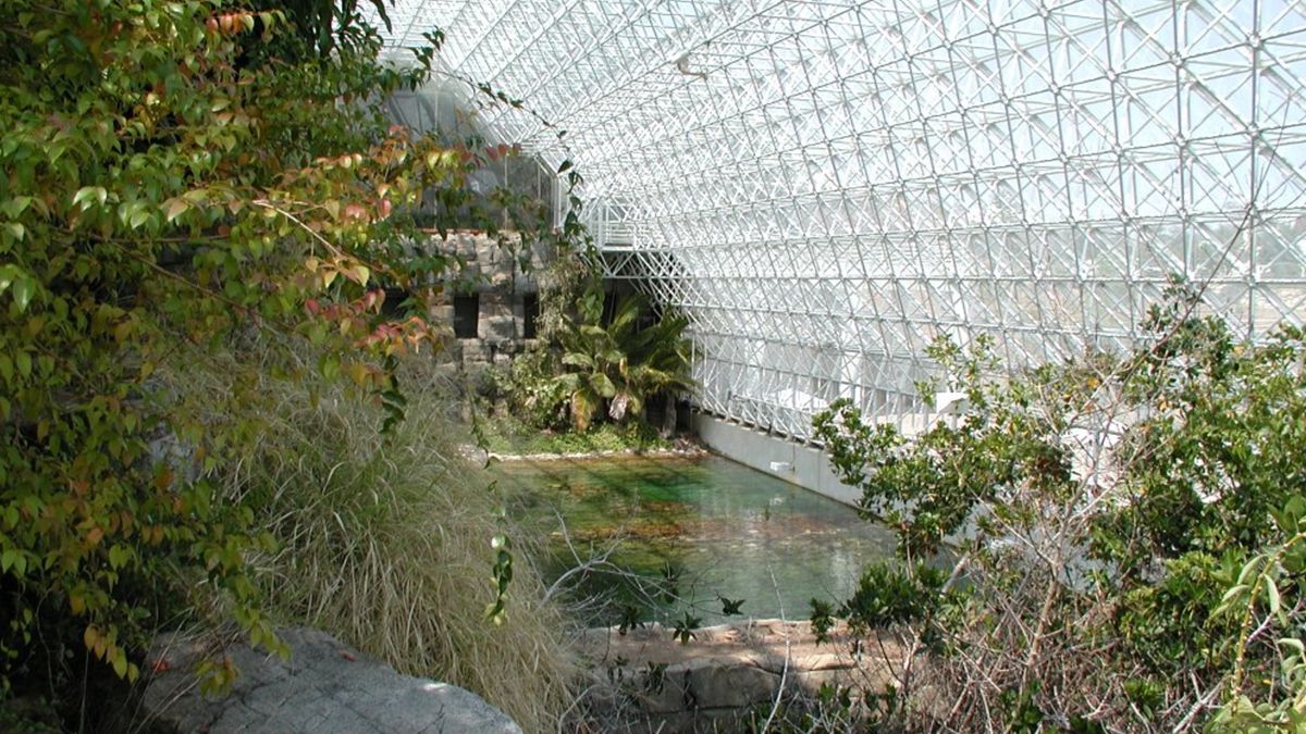 Una vista desde el interior de un invernadero de vidrio en la Biosfera 2 donde las exuberantes plantas tropicales crecen cerca de una pequeña piscina de agua