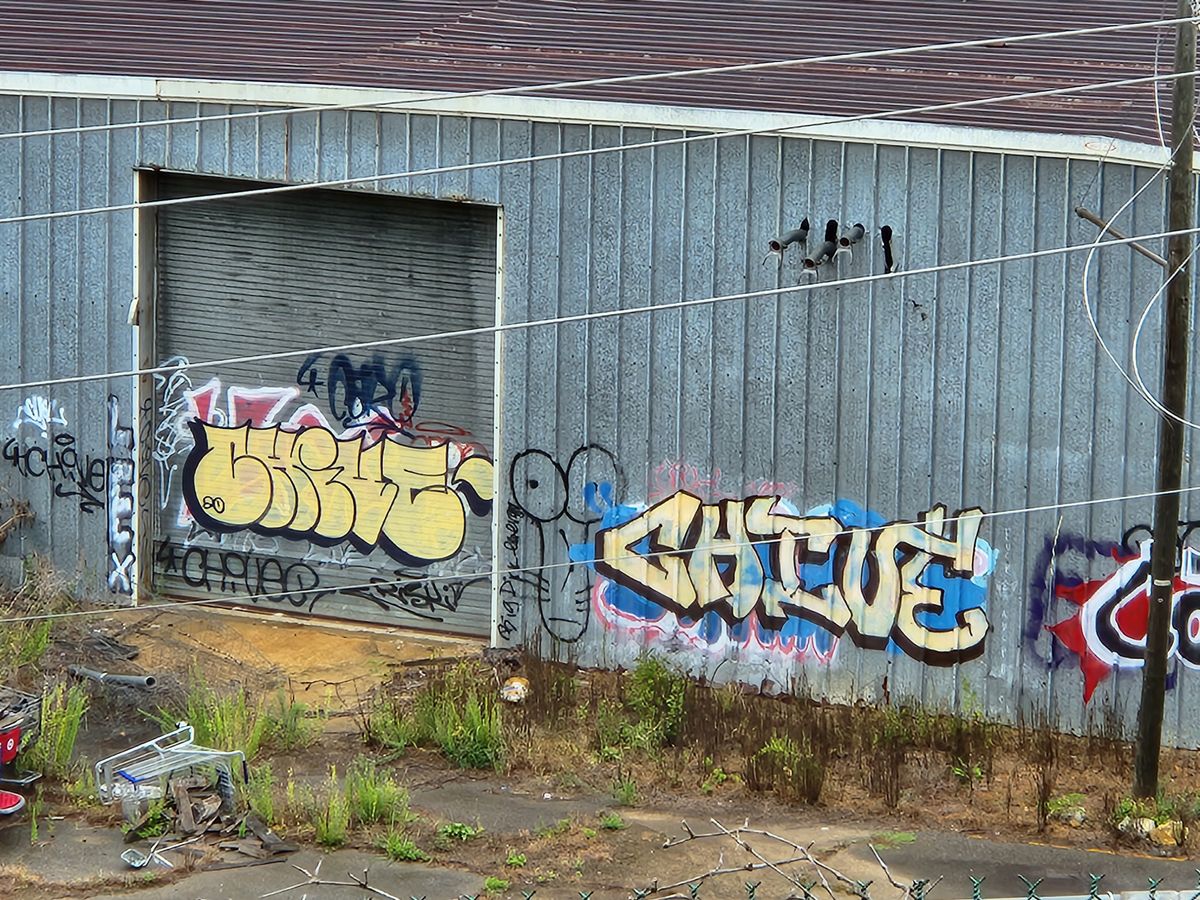 Samsung Galaxy Z Fold 4 daytime telephoto camera sample
