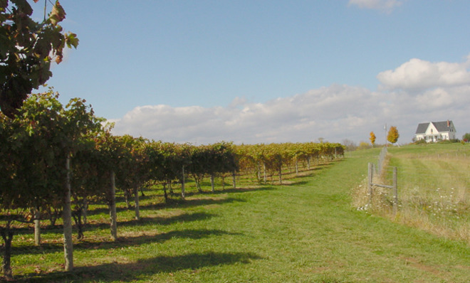 Wineries House hunting