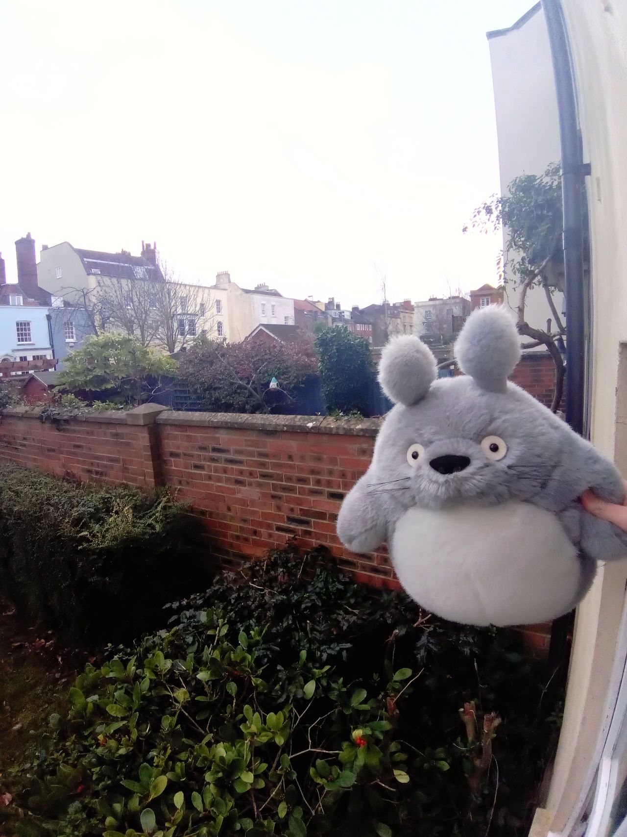 The front camera offers a much wider view, but still doesn&rsquo;t take great pictures
