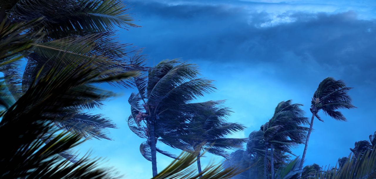 tropiclal storm clouds in dark sky in Florida with blowing palm trees