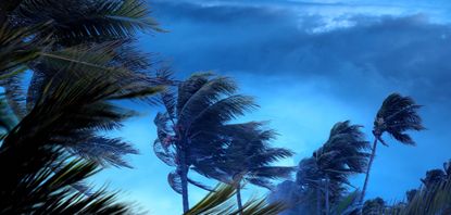tropiclal storm clouds in dark sky in Florida with blowing palm trees