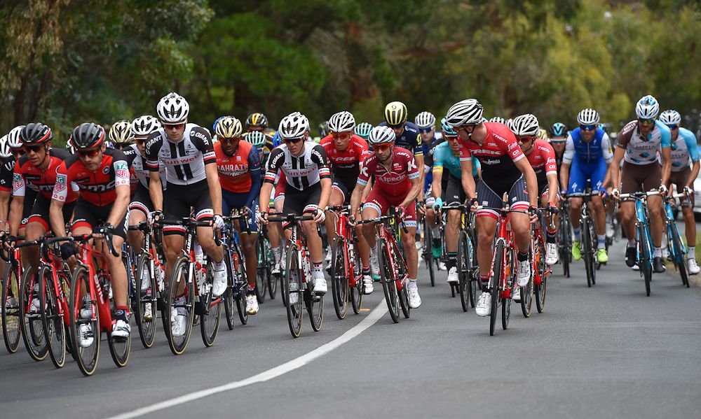 The peloton in action during the second stage of the Tour Down Under