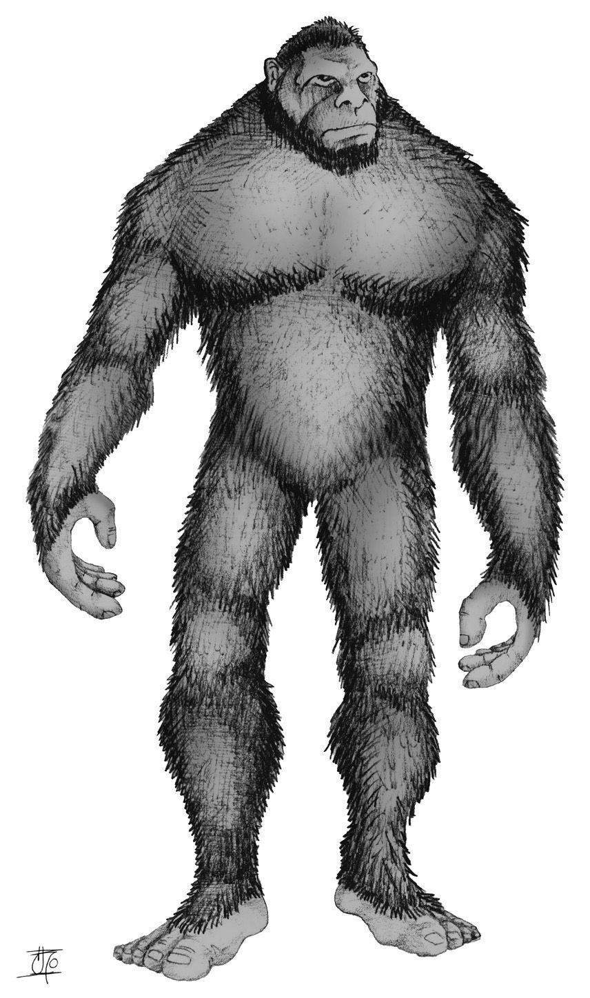 Bigfoot, Sasquatch, and Yeti - TV Tropes