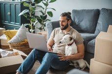 A young man with a beard and his cute pet dog look at a laptop. They are surrounded by packed boxes, suggesting they are about to move house (image: Getty Images)