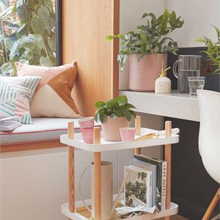 Chinese money plant on trolly in home