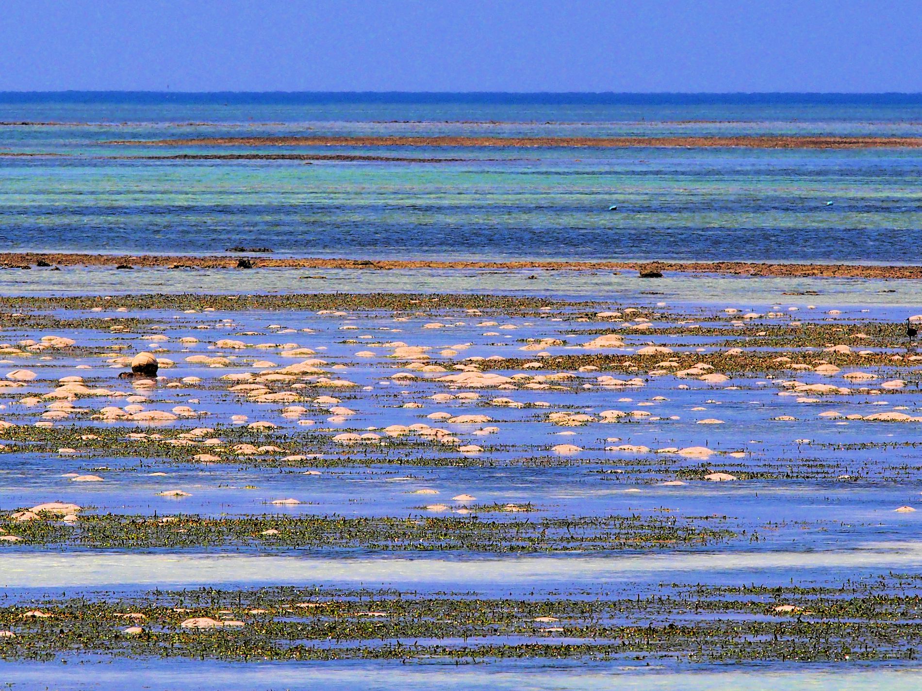 GuruShots - Nature&rsquo;s Masterpiece 2026