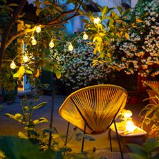 solar garden lighting with string lights hanging in a tree