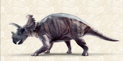 New horned dinosaur Wendiceratops pinhornensis