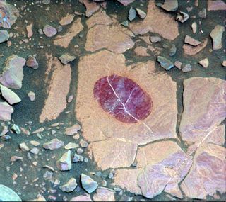 A false-color view of the "Christmas Cove" rock target on Mars by NASA's Curiosity rover. The exaggerated purple color, visible through special filters, suggests the presence of the mineral hematite.