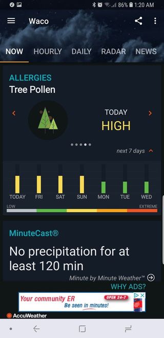 Weekly forecast tree pollen