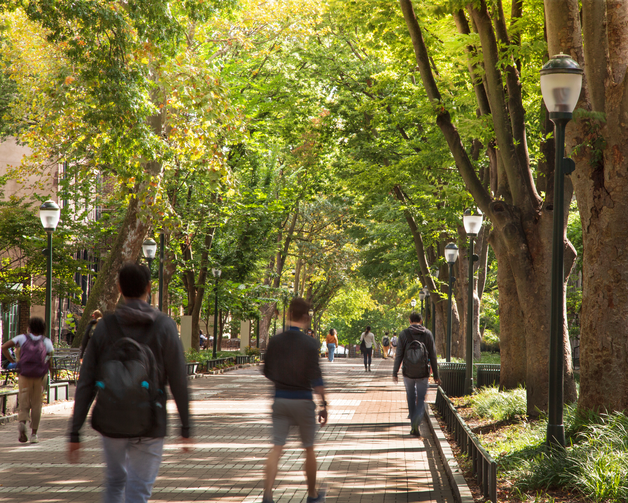 sidewalk on a college campus filled with students