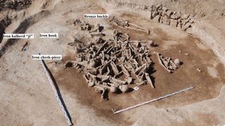 Bird's-eye-view of the excavation of a mass grave in Mongolia; dozens of skeletons of Han warriors are in the grave, along with several artifacts. Measuring sticks are placed in the foreground to show scale.