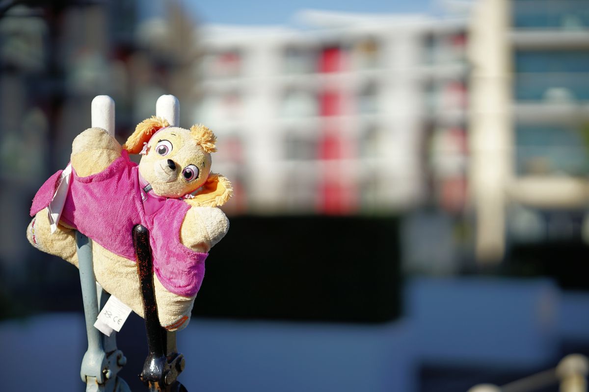 Viltrox AF 85mm f/1.4 Pro example shot