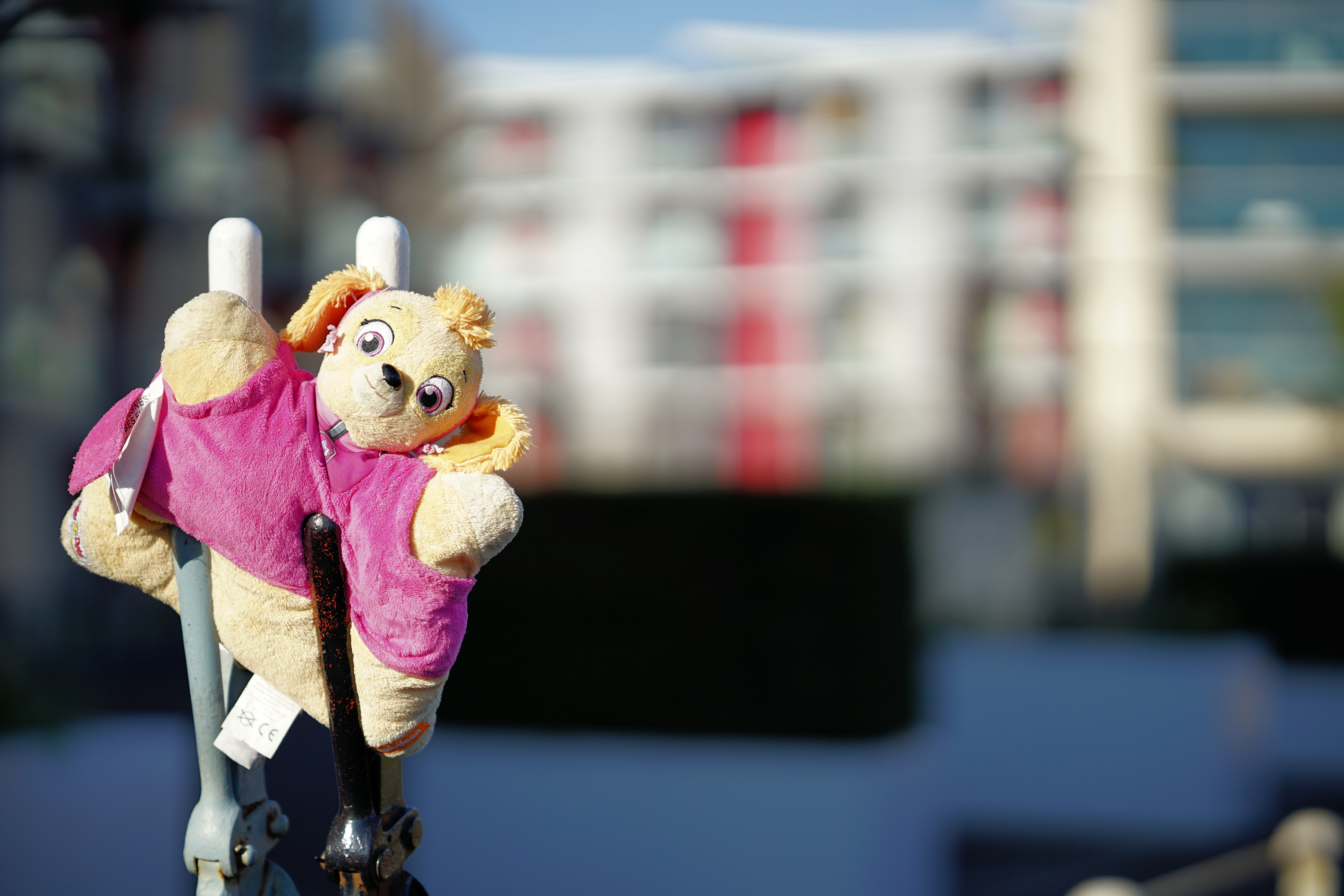 Viltrox AF 85mm f/1.4 Pro example shot