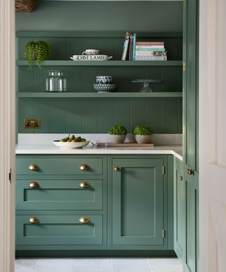 Modern farmhouse kitchen with shaker paneling on the wall and painted dark green