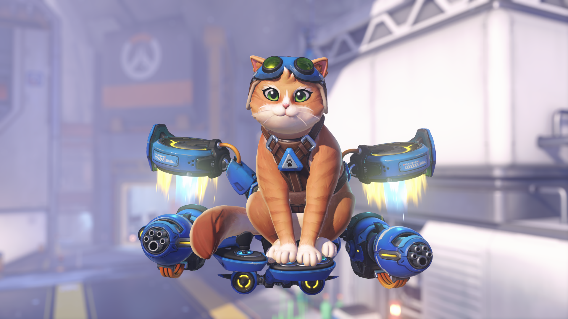 Overwatch's Jetpack Cat hero, a ginger cat sitting on a floating blue vehicle, looks into the camera.