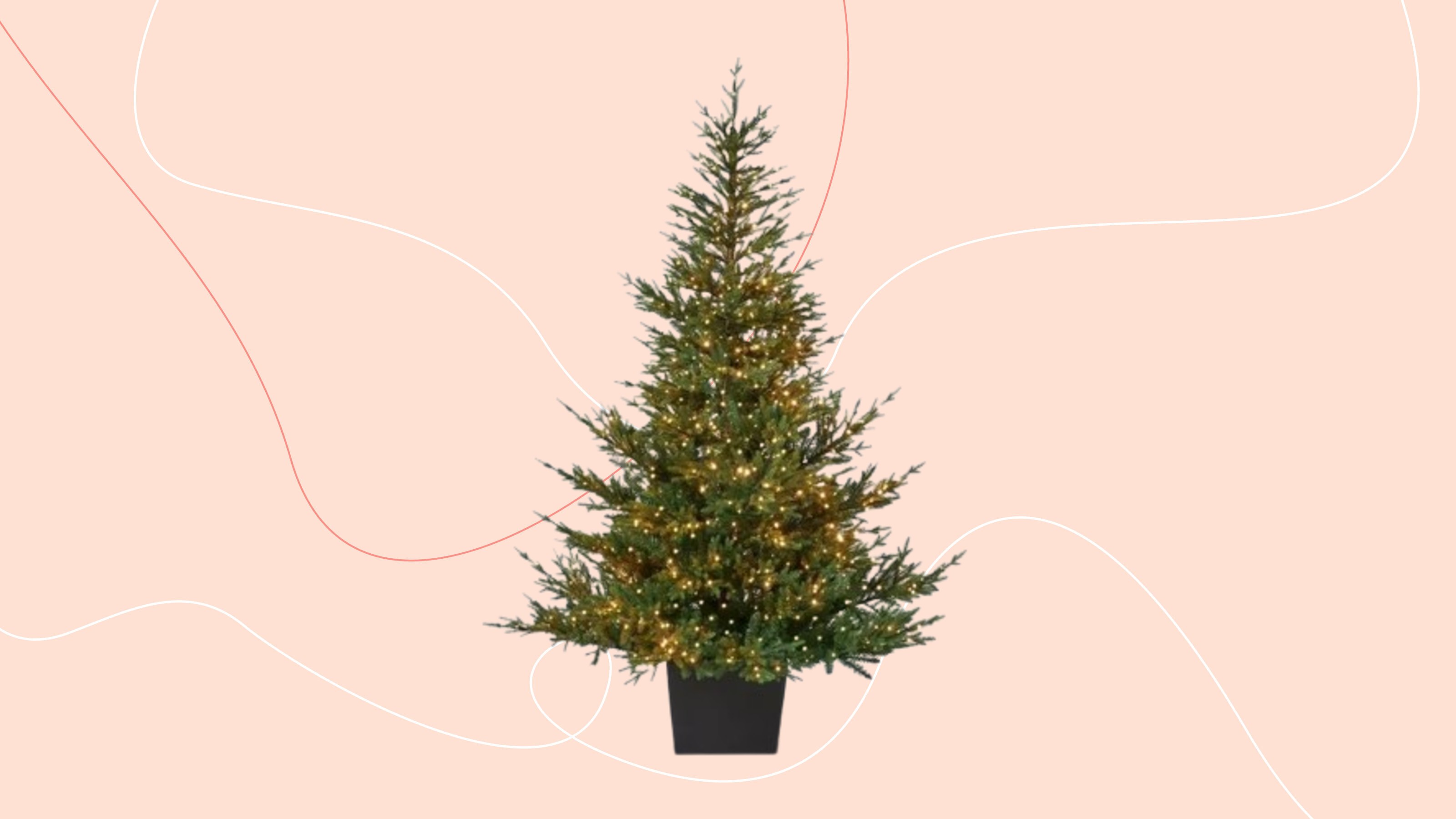 John Lewis Cotswold Christmas tree on a pink background