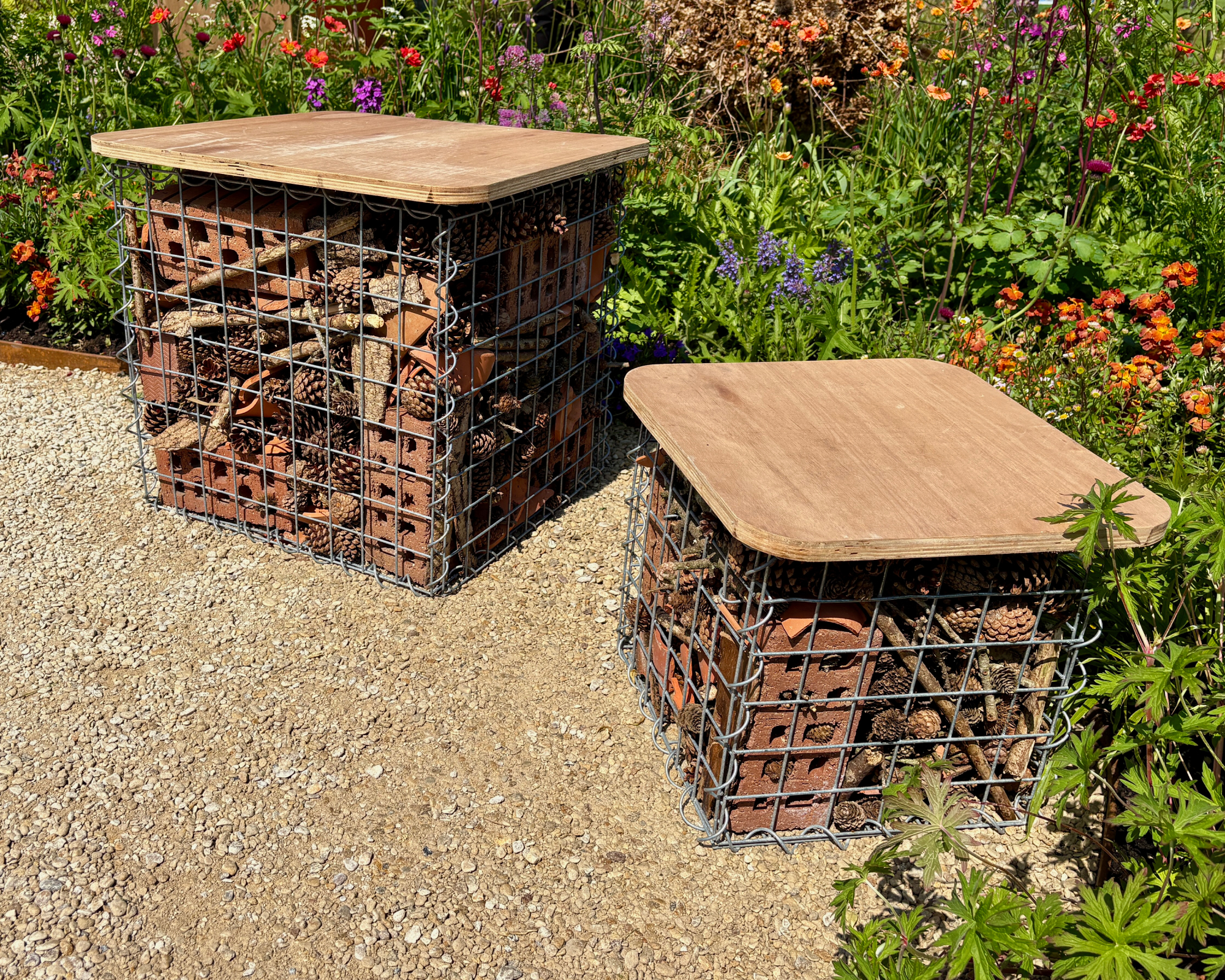 bug hotel benches made from gabion cubes