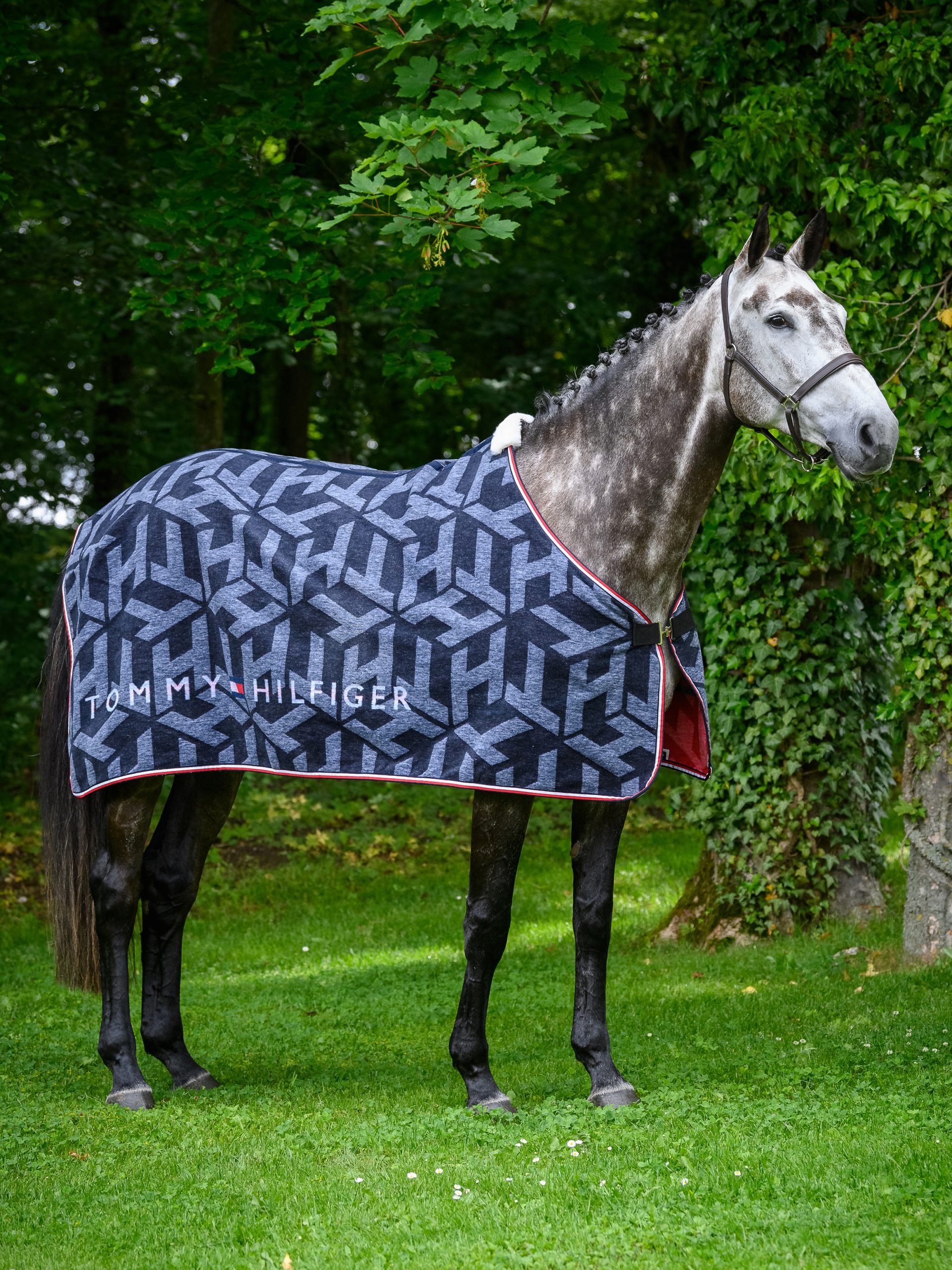 Tommy Hilfiger Equestrian rug