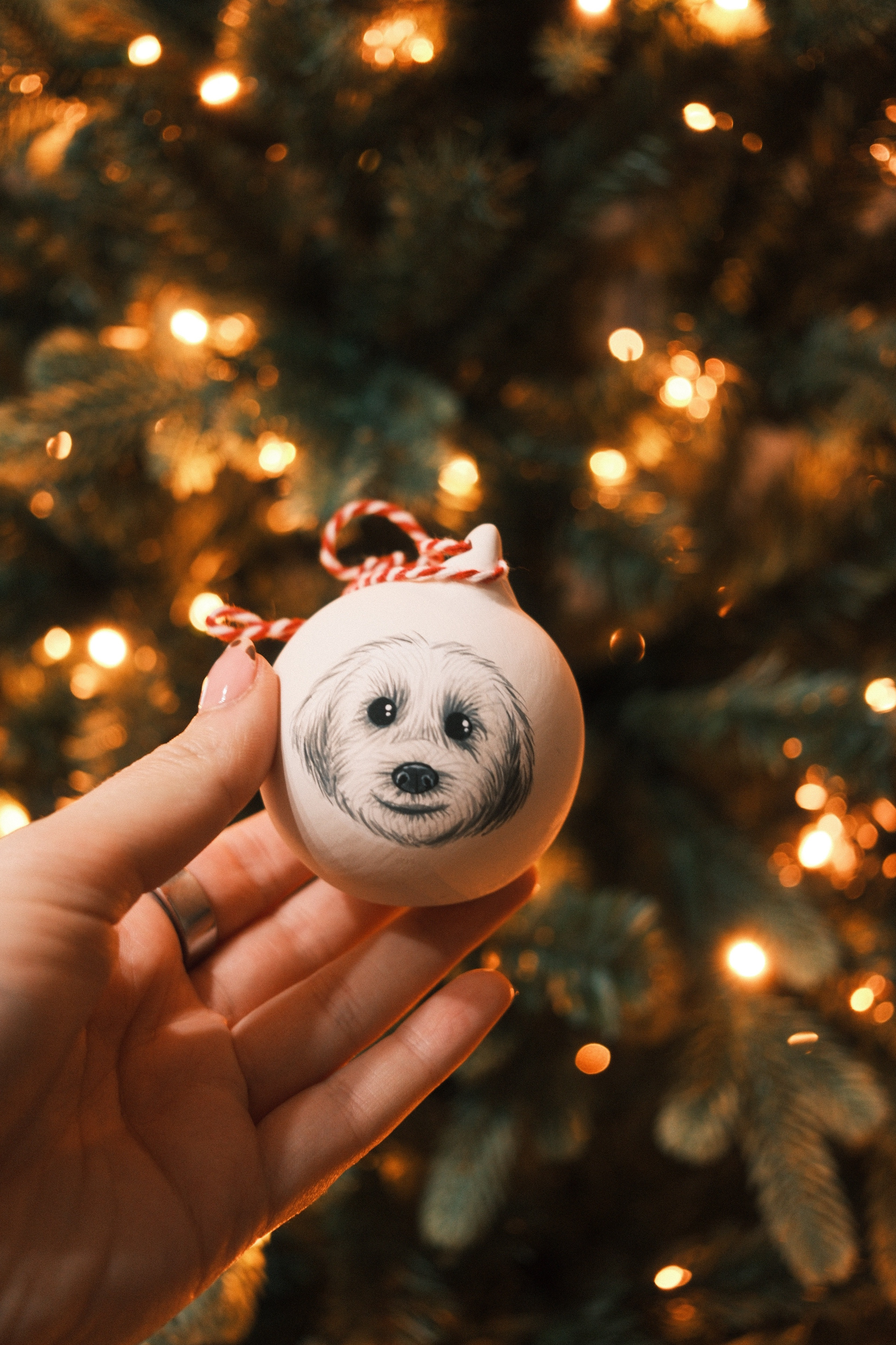 Images taken using the Fujifilm X-E5