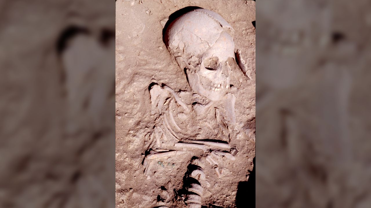 The child in the burial was about 5 years old, and wore the remains of a bronze-beaded bracelet.