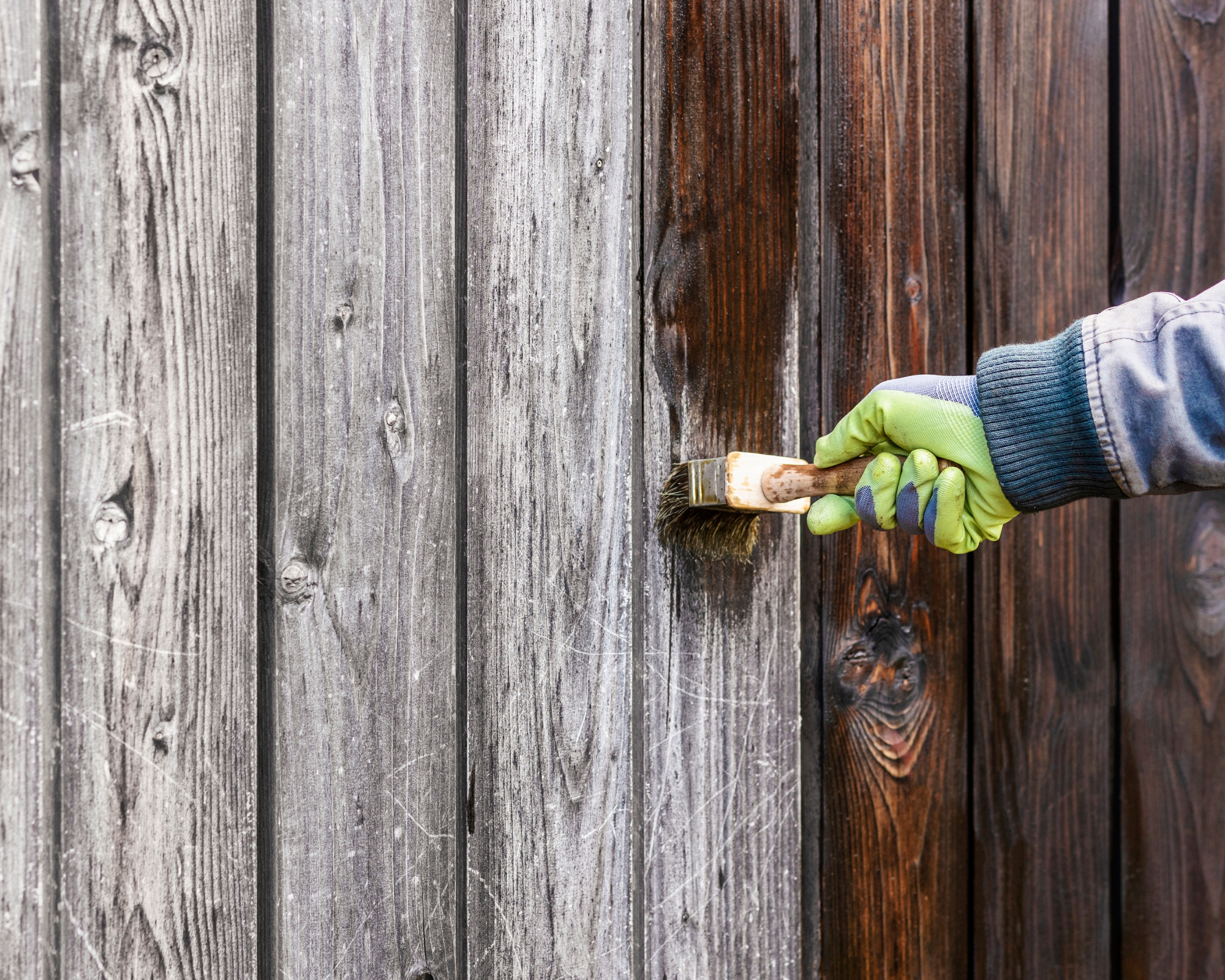 Painting Wood Fence with Paint Brush and Wooden Oil. Revonate Wood or Renewing Old Fence