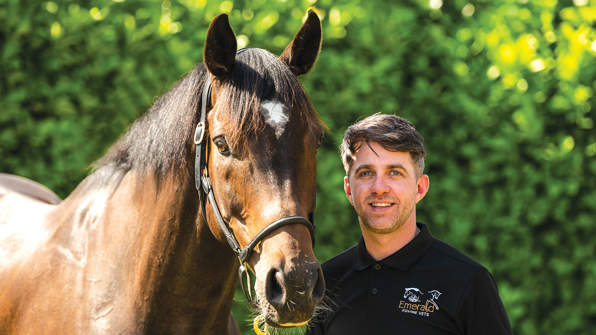 Vet Philip McKervey stands beside a bay horse with a white star wearing a leather headcollar