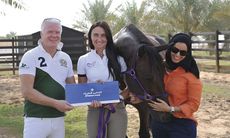 online-dressage-winner.jpeg